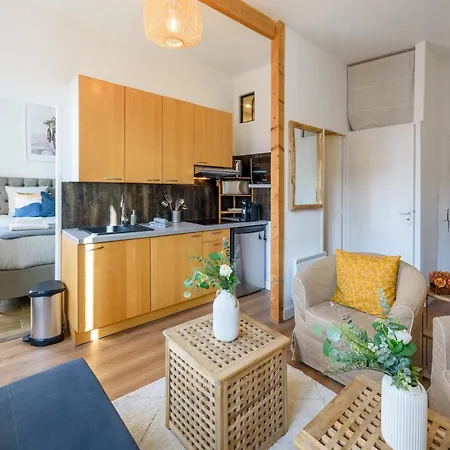 Cocon Des Minimes - Appt Pour 3 Avec Balcon Apartment