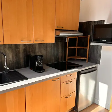 Apartment Cocon Des Minimes - Appt Pour 3 Avec Balcon *